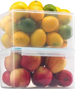 Komax Biokips Large Food Storage Container 4.6L (set of 2)